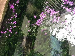 -泉乐坊步行街(烟酒特产平价超市店)