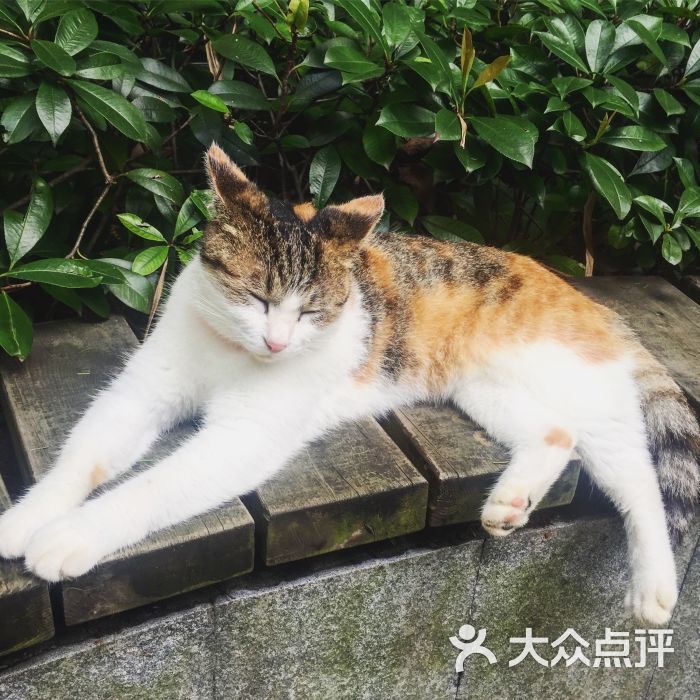 巴金故居图片 - 第3张