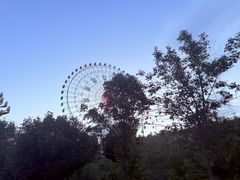 -特克斯八卦城