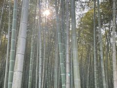 -潜山国家森林公园