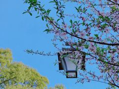 -杭州半山国家森林公园