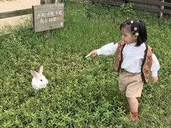 -田园东方蜜桃村的田野营地