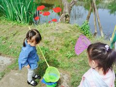 -洪湖家庭农场·团建·露营·会议