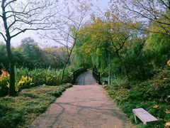 -长广溪湿地公园