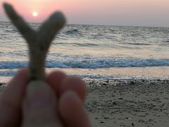 -贝壳沙滩