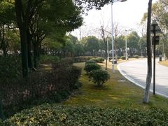 -泰州凤城河风景区-泰山公园