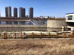 -长白岛森林公园