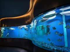 -碧涛阁·泡泡海洋·汤泉洗浴(王府花园店)