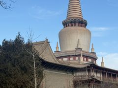 -张掖大佛寺景区