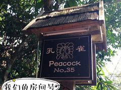 -三亚亚龙湾人间天堂鸟巢度假村