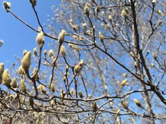 -齐白石旧居纪念馆