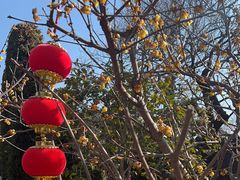 -无锡梅园公园