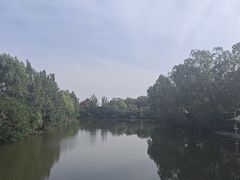 -白洋淀景区