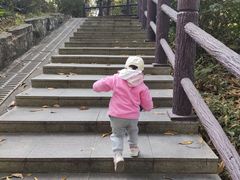 -四望岗公园