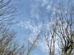 -白鹭湾湿地公园