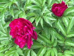 -长春公园(普阳街道)