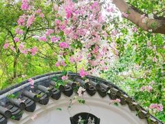 -深圳国际园林花卉博览园