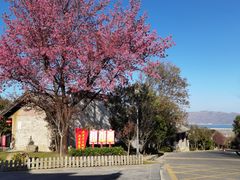 -天龙八部武侠城