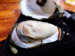 -大富蚝乌东哥饭店·石锅鱼杂·柠檬鸭(革新路店)