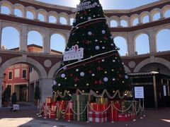 -星巴克(天津佛罗伦萨小镇店)