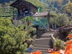 -藏龙百瀑风景区