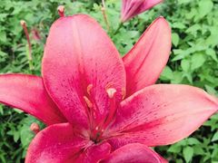 -长春公园(普阳街道)