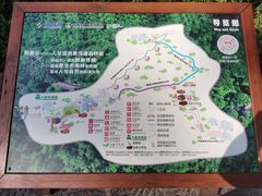 -野象谷景区