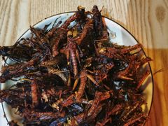 -昆虫窝子·特色云南菜(拓东路总店)