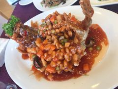 松鼠桂鱼-燕春楼(海河华鼎店)