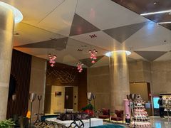 -南京禄口机场雅高铂尔曼大酒店