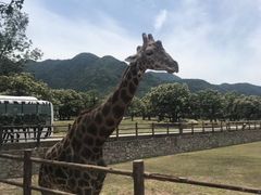 -西安秦岭野生动物园