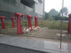 -南京医科大学(江宁校区)
