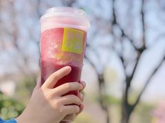 -奈雪的茶(凯德新都心店)