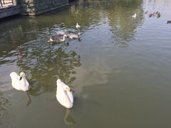 iphone_upload_pic-杭州世外桃源君澜度假酒店