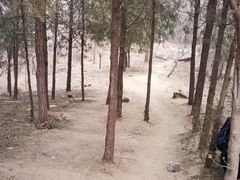 -北京鹫峰国家森林公园