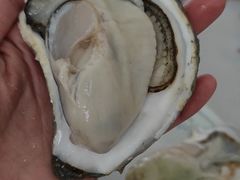 -塔湾北行农贸市场