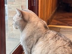 -隅cafe(傅厚岗店)