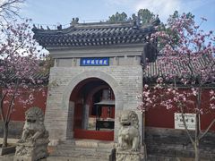 -红螺寺