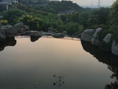 -徂徕山森林康养度假谷温泉