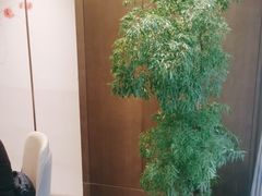-广州酒家(中华广场店)