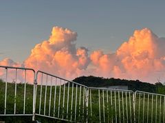 -野狸岛