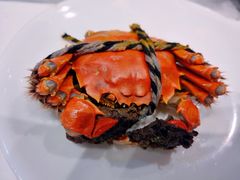 -第六季自助餐厅(甜水园店)