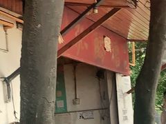 -张醪糟