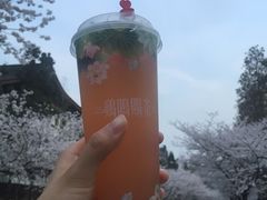 -鸡鸣赐茶(鸡鸣寺路店)