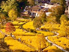 -塔川景区