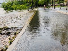 -永定河休闲森林公园