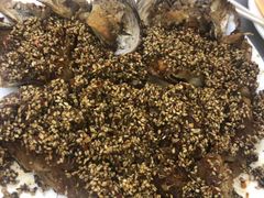 -松明一烤肉馆(鲁园店)