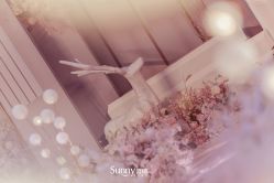 -Sunny喜铺婚礼策划(东部店)