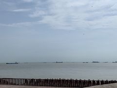 -上海滨江森林公园
