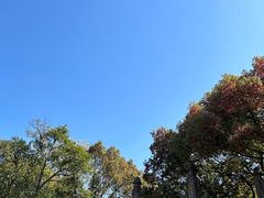 -慈城古县城景区